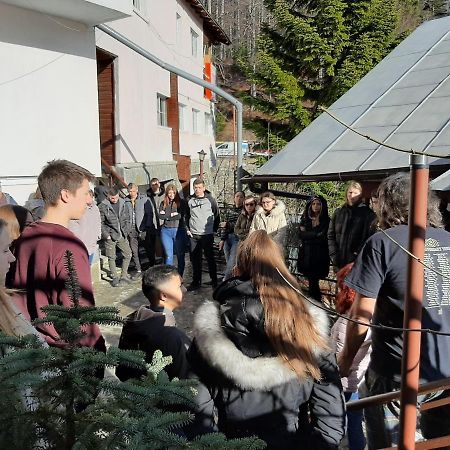 Casa Cristina_ Cabana Buşteni Zewnętrze zdjęcie
