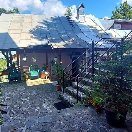 Casa Cristina_ Cabana Buşteni Zewnętrze zdjęcie