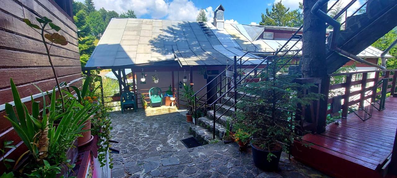 Casa Cristina_ Cabana Buşteni Zewnętrze zdjęcie